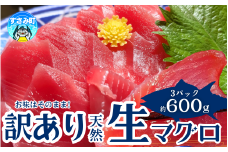 【訳あり】和歌山県すさみ産 天然生マグロ 冷凍 生 計600g（約200g×3パック）　まぐろ マグロ 鮪 赤身 海鮮丼 鮪 寿司 海鮮  小分け 刺身 和歌山 すさみ町 キハダマグロ メバチマグロ 大容量 【scp002】