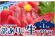 【訳あり】和歌山県すさみ産 天然生マグロ 冷凍 生 計1kg（約200g×5パック）　まぐろ マグロ 鮪 赤身 海鮮丼 鮪 寿司 海鮮  小分け 刺身 和歌山 すさみ町 キハダマグロ メバチマグロ 大容量  【scp003】