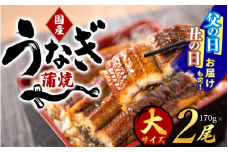 【父の日】【父の日までにお届け】【大型サイズ】国産 大型サイズ ふっくら柔らか 国産うなぎ蒲焼き 2尾 化粧箱入 先行予約 国産 うなぎ ウナギ 鰻 蒲焼 土用の丑の日 丑の日 【uot302A-pp】