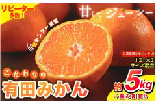 【2025年11月発送予約分】＼光センサー選別／ 【農家直送】【家庭用】こだわりの有田みかん 約5kg＋250g(傷み補償分) 先行予約 有機質肥料100% サイズ混合 【11月発送】【nuk160-11】 