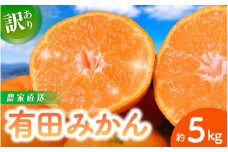 【訳あり】農家直送  有田みかん 約5kg ご家庭用 サイズ混合 （お届け日指定不可）※2025年11月中旬より順次発送予定　※北海道・沖縄・離島への配送不可　訳ありみかん 温州みかん サイズ混合 有機質肥料100% ふるさと納税 柑橘 有田 産地直送【nuk161B】