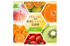 【全6回定期便】奇数月にお届け♪【産直】野菜＆フルーツ定期便！キウイ・不知火・アイコトマト・桃・極早生みかん・有田みかん【tkb358】