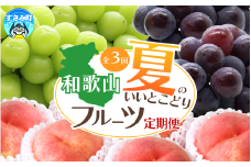【3か月定期便】夏のいいとこどりフルーツ定期便♪桃・ピオーネ・シャインマスカット【tkb360】