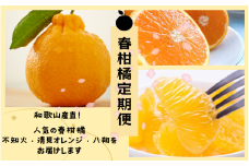  【3か月定期便】和歌山産直！人気の春柑橘定期便♪不知火・清見オレンジ・八朔 【tkb361】