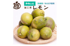 ＜9月より発送＞加工用 黒潮レモン6.5kg+195g（傷み補償分）【和歌山有田産】【防腐剤・WAX不使用、安心の国産レモン】【わけあり・訳ありレモン】 ※2024年9月上旬頃〜2025年4月下旬頃に順次発送【ikd181】