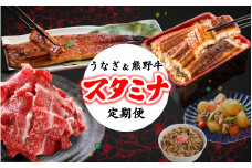 【全2回】－梅－ 国産うなぎ＆熊野牛 スタミナ定期便 / 定期便 鰻 牛肉 蒲焼 蒲焼き 霜降り 赤身 うな重 うな丼 ひつまぶし すき焼き しゃぶしゃぶ 牛丼 肉じゃが おかず 普段使い 人気 贈答 贈り物 ギフト プレゼント お祝い 冷凍便 クール便 【tkb363】