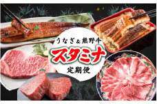 【全3回】－松－ 国産うなぎ＆熊野牛 スタミナ定期便 / 定期便 鰻 牛肉 サーロイン シャトーブリアン ヒレ ロース 蒲焼 蒲焼き 霜降り 希少 うな重 うな丼 ひつまぶし ステーキ すき焼き しゃぶしゃぶ 人気 贈答 贈り物 ギフト プレゼント お祝い 冷凍便 クール便 【tkb365】