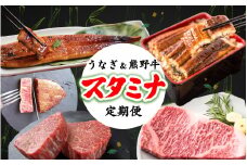 【全2回】－竹－ 国産うなぎ＆熊野牛 スタミナ定期便 / 定期便 鰻 牛肉 サーロイン シャトーブリアン ヒレ 蒲焼 蒲焼き 霜降り 希少 うな重 うな丼 ひつまぶし ステーキ 人気 贈答 贈り物 ギフト プレゼント お祝い 冷凍便 クール便 【tkb364】