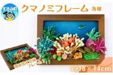 クマノミ各種　フレーム  /  魚 さかな フィッシュ 釣り 海 うみ クマノミ 海水魚 海の生き物 鍵 かぎ 家 車 自転車 かわいい お土産 雑貨 思い出 プレゼント ギフト すさみ 【mac007】