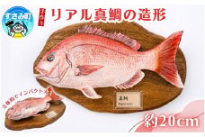 リアル真鯛の造形  /  魚 さかな フィッシュ 釣り 海 うみ  タイ まだい タイ クマノミ 海水魚 海の生き物 鍵 かぎ 家 車 自転車 かわいい お土産 雑貨 思い出 プレゼント ギフト すさみ 【mac009】