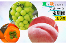 【全3回】夏と秋を味わうフルーツ定期便 (桃・マスカット・柿)【tkb370】