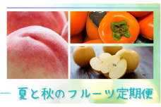 【全3回】夏と秋のフルーツ定期便 (桃・梨・ひらたねなし柿) 【tkb372】