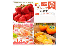 【全3回】紀州和歌山産旬のフルーツ定期便 (いちご・桃・富有柿) 【tkb373】