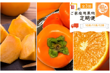 【全3回】紀州和歌山産旬のご家庭用果物定期便 (ひらたねなし柿・富有柿・みかん) / フルーツ くだもの 果物 定期便 3回定期便 和歌山 柿 カキ みかん 柑橘 ミカン 有田みかん【tkb379】
