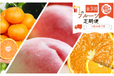 【全3回】紀州和歌山産旬のフルーツ定期便 (みかん・清見オレンジ・桃) / 果物 柑橘 オレンジ 定期便 人気 果物定期便 フルーツ定期便 みかん 桃 モモ もも おすすめ 【tkb381】