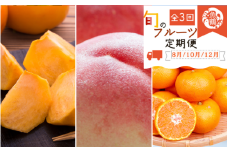【全3回】紀州和歌山産旬のフルーツ定期便 (桃・柿・みかん) / みかん 果物定期便 フルーツ定期便 ミカン 柑橘 くだもの 果物 カキ かき 柿 もも モモ 桃 【tkb383】