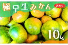 【2024年秋頃発送予約分】【訳あり】こだわりの極早生みかん 約10kg ※2024年10月上旬より順次発送予定（お届け日指定不可） 有機質肥料100% サイズ混合 有田産 / みかん ミカン 有田みかん 和歌山 早生 極早生 訳あり フルーツ 果実 柑橘 くだもの 果物 早生みかん 予約販売【nuk167】