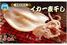 すさみ町産　スルメイカの一夜干し 3枚入り(1匹あたり140g)  / 海鮮 魚介 干物 おつまみ アテ 肴 肉厚 スルメイカ ゲソ 使い切り 冷凍【scp115】