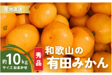 【12月発送】秀品 有田みかん 和歌山県産  S～Lサイズ 大きさお任せ 10kg / みかん フルーツ 果物 くだもの 有田みかん 蜜柑 柑橘【ktn003-12】