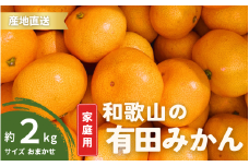 【11月発送】  ご家庭用 有田みかん 和歌山 S～Lサイズ 大きさお任せ 2kg  / みかん フルーツ 果物 くだもの 有田みかん 蜜柑 柑橘【ktn005-11】