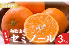【先行予約】ご家庭用 セミノール  和歌山 有田  S～2Lサイズ 大きさお任せ 3kg【4月下旬～5月下旬頃に順次発送】/ みかん フルーツ 果物 くだもの 蜜柑 柑橘【ktn025】