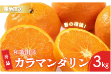【先行予約】秀品 カラマンダリン なつみ 春のみかん 和歌山 有田 S～2Lサイズ 大きさお任せ 3kg【2025年4月上旬～5月上旬までに順次発送予定】/ みかん フルーツ 果物 くだもの 蜜柑 柑橘【ktn033】