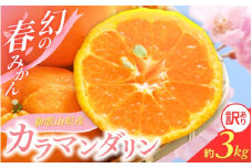 【先行予約】訳あり 有田 カラマンダリン なつみ 春のみかん 2S～3Lサイズ混合 3kg【2025年4月上旬～5月上旬までに順次発送予定】/ みかん フルーツ 果物 くだもの 蜜柑 柑橘【ktn038】