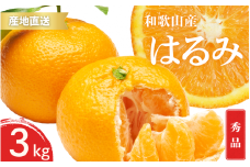【先行予約】秀品 はるみ 和歌山 有田 S～2Lサイズ 大きさお任せ 3kg【2025年1月下旬～3月下旬までに順次発送予定】/ みかん フルーツ 果物 くだもの 蜜柑 柑橘【ktn046】