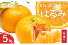 【先行予約】ご家庭用 はるみ 和歌山 有田 S～3Lサイズ 大きさお任せ 5kg【2025年1月下旬～3月下旬までに順次発送予定】/ みかん フルーツ 果物 くだもの 蜜柑 柑橘【ktn047】