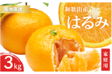 【先行予約】ご家庭用 はるみ 和歌山 有田 S～3Lサイズ 大きさお任せ 3kg【2025年1月下旬～3月下旬までに順次発送予定】/ みかん フルーツ 果物 くだもの 蜜柑 柑橘【ktn048】