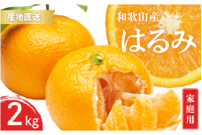 【先行予約】ご家庭用 はるみ 和歌山 有田 S～3Lサイズ 大きさお任せ 2kg【2025年1月下旬～3月下旬までに順次発送予定】/ みかん フルーツ 果物 くだもの 蜜柑 柑橘【ktn049】
