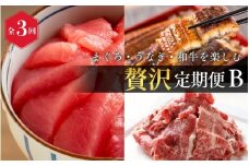 【全3回】まぐろ・うなぎ・和牛を楽しむ贅沢定期便B / 鮪 マグロ 刺身 鰻 ウナギ 蒲焼 熊野牛 肉 牛肉 和牛 黒毛和牛 赤身 こま切れ 【tkb387】