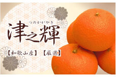 ＜2月より発送＞厳選 津之輝1.2kg+36g（傷み補償分）つのかがやき【光センサー選別】 ※北海道・沖縄・離島への配送不可 /  みかん オレンジ 有田みかん 柑橘 おすすめ フルーツ くだもの 果物 わかやま 和歌山 ミカン【ikd203】