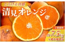 ＜2月より発送＞＜2月より発送＞家庭用 清見オレンジ 7.5kg+250g（傷み補償分）【光センサー食頃出荷】【樹上完熟きよみオレンジ・清見タンゴール・清美】【わけあり・訳あり】 / オレンジ 清見 おれんじ みかん 柑橘 有田 和歌山 産地直送  くだもの 果物 フルーツ 柑橘類 和歌山 すさみ町【ikd200B】