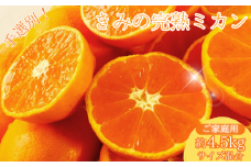  あま～い！ カツオの有機肥料が味の決め手！ 「きみの完熟ミカン」 約4.5kg (40~60個程度) サイズ混合 2S~M ご家庭用(秀優混合)/みかん ミカン 柑橘 和歌山県 有機 手選別 【kmf001】