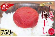 紀州南高梅 大粒 しそ漬け梅干し  750g  塩分約8% 無選別 ご家庭用 訳あり 梅 梅干 梅干し うめ ウメ シソ すさみ町 南高梅 紀州 和歌山 おすすめ 訳アリ 訳あり 【khs121】