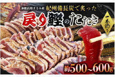 すさみ町産 秋の戻り鰹のたたき 約500g～600g / 鰹 かつお かつおのたたき 刺身 タタキ 天然 初鰹 冷凍 真空 小分け 個包装 加工品 魚 和歌山県 すさみ町【scp118】