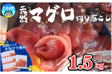 和歌山県すさみ産 天然生マグロ 切り落とし 家庭用 【1.5kg】マグロ 鮪 ブロック 不揃い 海鮮丼 寿司 手巻き寿司 漬け丼 海鮮 海の幸 小分け 魚介 新鮮 個包装 真空包装 刺身 和歌山 すさみ町 キハダマグロ メバチマグロ 大容量 【scp121】