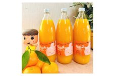 【数量限定】【大人気】有田みかん100％のジュース1,000ml×3本セット　※着日指定不可 / みかん みかんジュース オレンジジュース 柑橘 果物 フルーツジュース 和歌山 フルーツ【tkh004A】