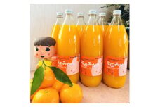 【数量限定】【大人気】有田みかん100％のジュース1,000ml×6本セット ※着日指定不可 / フルーツジュース みかん みかんジュース 柑橘 果物 フルーツ ミカン 和歌山【tkh005A】