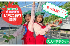 いちご狩り体験 ペアチケット ホテルベルヴェデーレ / 体験チケット  レジャーチケット 旅行 観光 アクティビティ 子供 デート 和歌山 紀南 南紀【iki108】