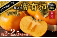 【先行予約】富有柿 2kg～2.5kg 6個入 至高の逸品 約1000個に１個！ 2025年10月下旬～2025年11月下旬頃に順次発送予定（お届け日指定不可）/ 和歌山 柿 かき フルーツ 果物 くだもの 刀根 種無し【kgr013】