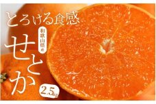 【先行予約】 柑橘の大トロ せとか とろける食感 ジューシー柑橘 約2.5kg  ※2026年2月上旬頃～2026年2月下旬頃順次発送予定 / みかん 蜜柑 柑橘 オレンジ 果物 フルーツ 国産 和歌山 有田みかん【uot789A】