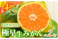 【2025年秋頃発送予約分】【農家直送】こだわりの極早生みかん 約2kg【数量限定】 有機質肥料100% サイズ混合 ※2025年9月下旬より順次発送予定（お届け日指定不可） / 早生みかん みかん ミカン 有田みかん 温州みかん 柑橘 有田 和歌山 産地直送  くだもの 果物 フルーツ 柑橘類 和歌山 すさみ町【nuk170】