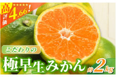 【2025年秋頃発送予約分】【農家直送】こだわりの極早生みかん 約2kg【数量限定】 有機質肥料100% サイズ混合 ※2025年9月下旬より順次発送予定（お届け日指定不可） / 早生みかん みかん ミカン 有田みかん 温州みかん 柑橘 有田 和歌山 産地直送  くだもの 果物 フルーツ 柑橘類 和歌山 すさみ町【nuk170】