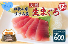 【父の日】父の日までにお届け！！【訳あり】和歌山県すさみ産 天然生マグロ 冷凍 生 計600g（約200g×3パック）　まぐろ マグロ 鮪 赤身 海鮮丼 鮪 寿司 海鮮  小分け 刺身 和歌山 すさみ町 キハダマグロ メバチマグロ 大容量 【scp002-pp】