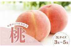 和歌山県産の桃 3Lサイズ(3玉～5玉)【2025年6月中旬頃から8月上旬頃順次発送予定】 / 和歌山 もも 桃 甘い ギフト 贈り物 プレゼント 夏ギフト 果物 フルーツ 人気 産地直送 和歌山県 お取り寄せ【mat109】