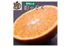 ＜先行予約＞厳選はっさく1kg+250g（傷み補償分）【八朔みかん】＜1月より発送＞※北海道・沖縄・離島への配送不可【ikd220】