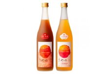 【紀州完熟南高梅使用】濃厚「ねり梅酒」と芳醇「梅酒」各720mlの飲み比べ / 梅酒 梅 紀州梅酒 南高梅 うめ 梅干し お酒 酒 うめ酒 飲み比べ【tecj1003】