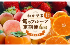 わかやま 旬の フルーツ 定期便【S】 全4回  ※北海道・沖縄・離島への配送不可 （配送日時指定不可）/ 有田みかん まりひめ いちご 桃 柿 【ard-tkb910】